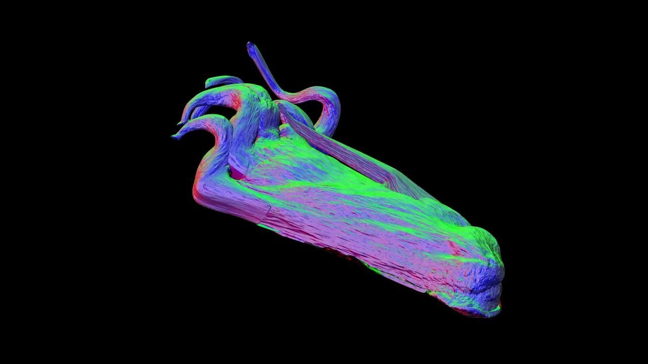 https://cgi.nyc3.cdn.digitaloceanspaces.com/artwork_medias/1731253245008-0-image.jpeg