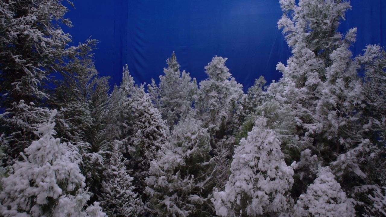 https://cgi.nyc3.cdn.digitaloceanspaces.com/artwork_medias/1731253250769-0-image.jpeg