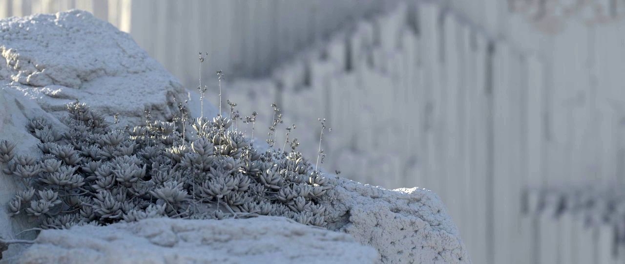 https://cgi.nyc3.cdn.digitaloceanspaces.com/artwork_medias/1731253452072-0-image.jpeg