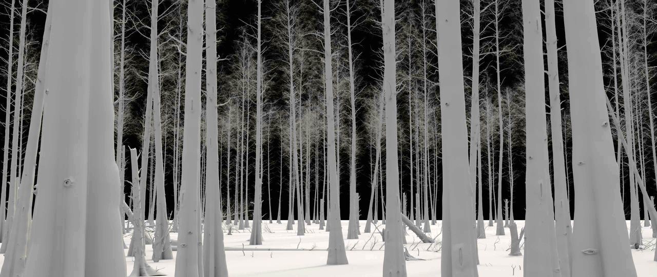 https://cgi.nyc3.cdn.digitaloceanspaces.com/artwork_medias/1731253456009-0-image.jpeg