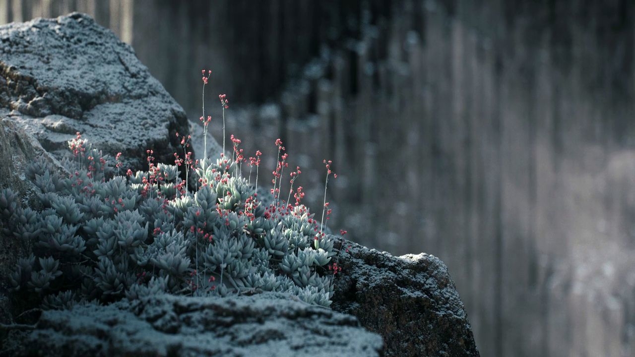 https://cgi.nyc3.cdn.digitaloceanspaces.com/artwork_medias/1731253457258-0-image.jpeg