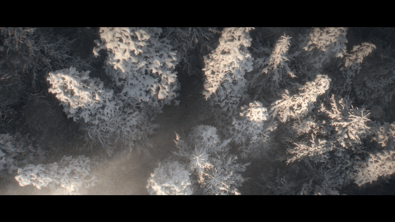 https://cgi.nyc3.cdn.digitaloceanspaces.com/artwork_medias/1731253646090-0-image.jpeg