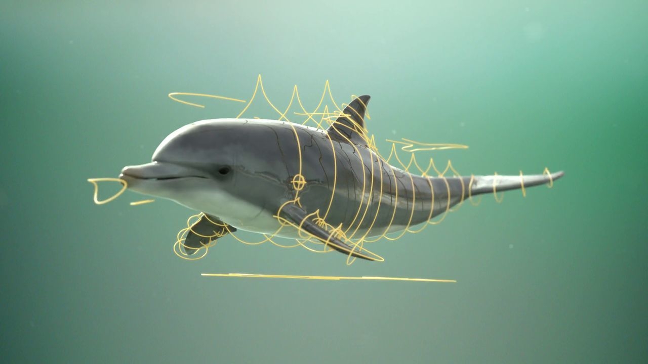 https://cgi.nyc3.cdn.digitaloceanspaces.com/artwork_medias/1731253901816-0-image.jpeg