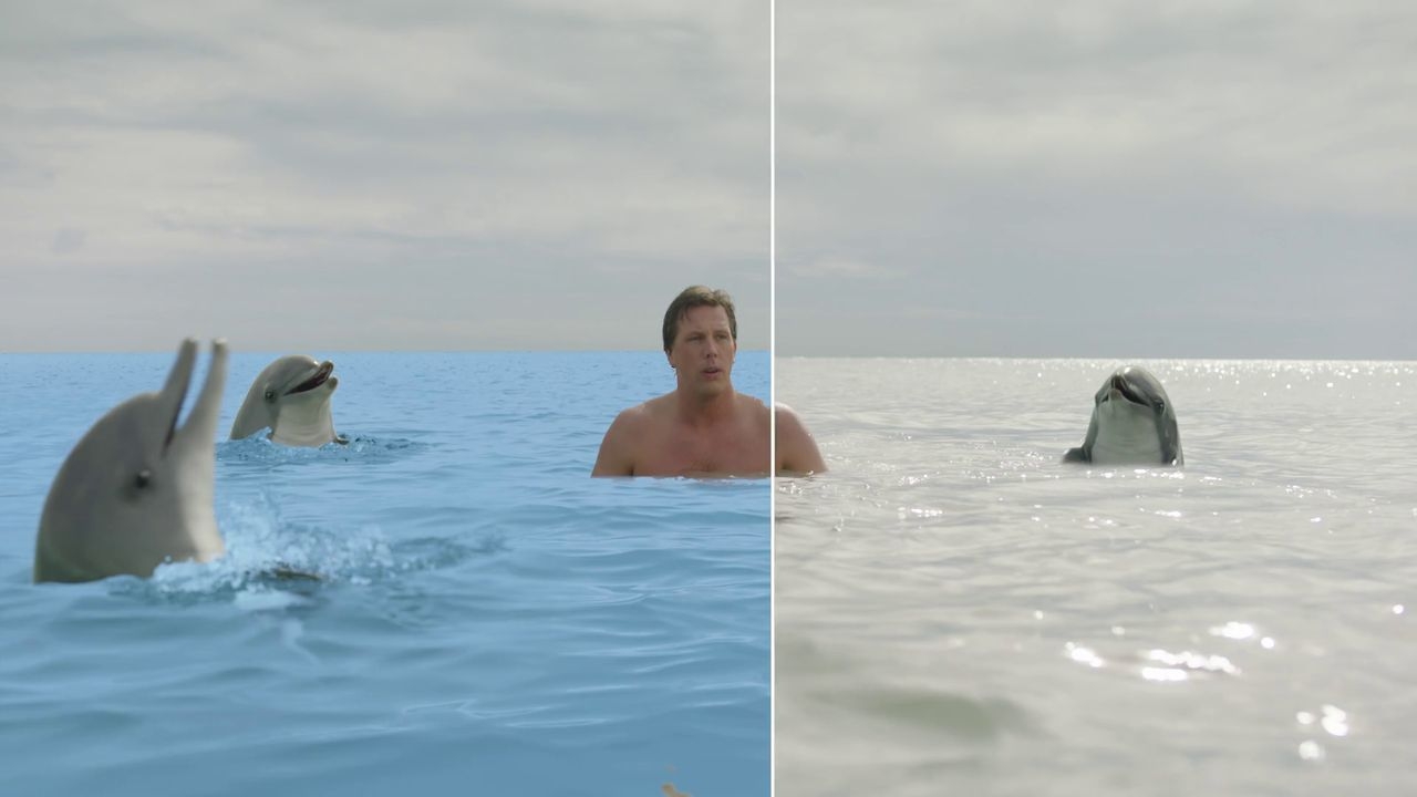 https://cgi.nyc3.cdn.digitaloceanspaces.com/artwork_medias/1731253908830-0-image.jpeg