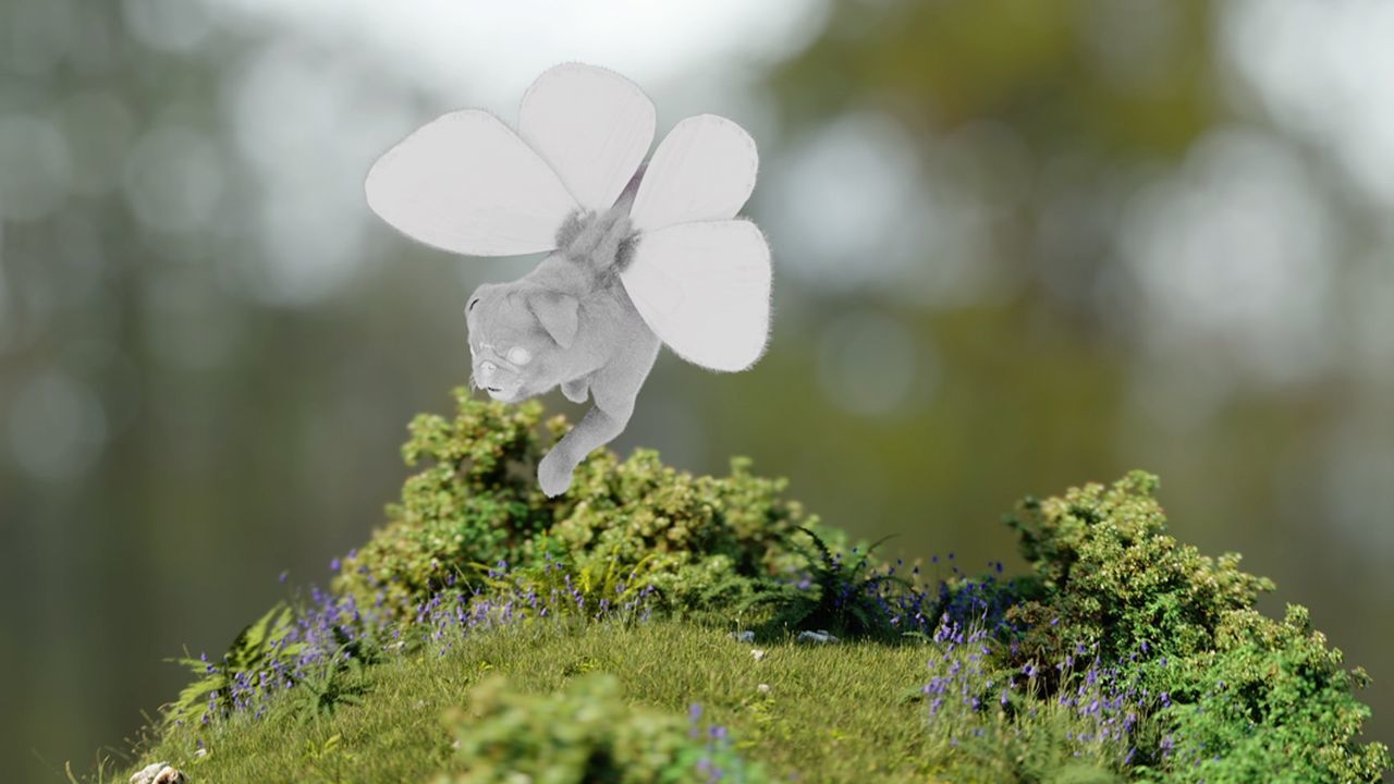 https://cgi.nyc3.cdn.digitaloceanspaces.com/artwork_medias/1731254108545-0-image.jpeg