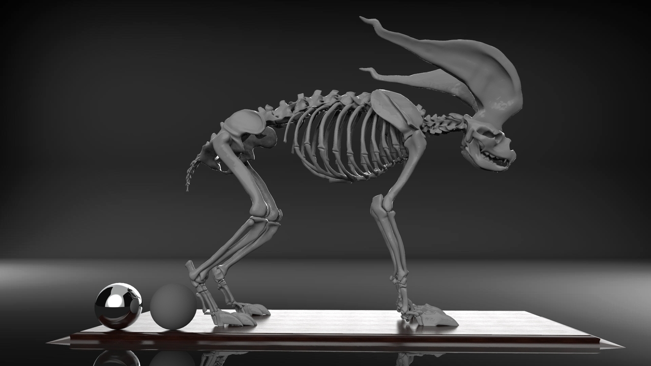 https://cgi.nyc3.cdn.digitaloceanspaces.com/artwork_medias/1731256524845-0-image.jpeg