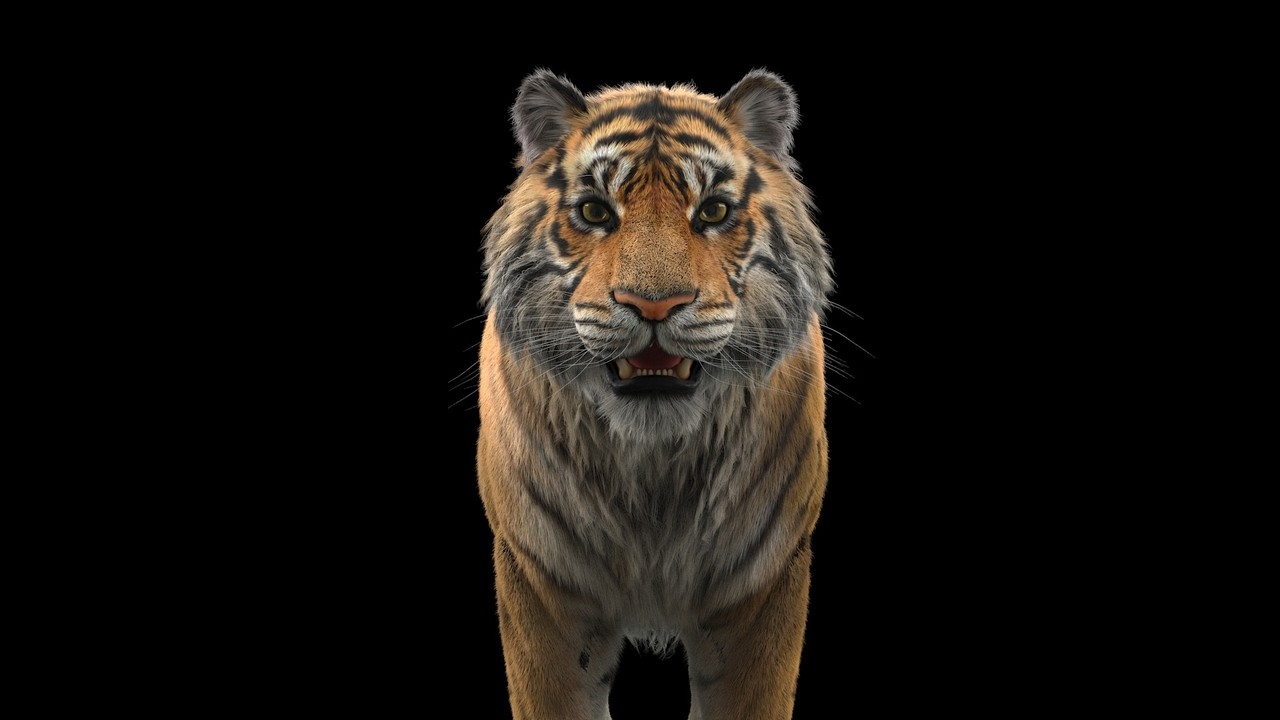 https://cgi.nyc3.cdn.digitaloceanspaces.com/artwork_medias/1731269328513-0-image.jpeg