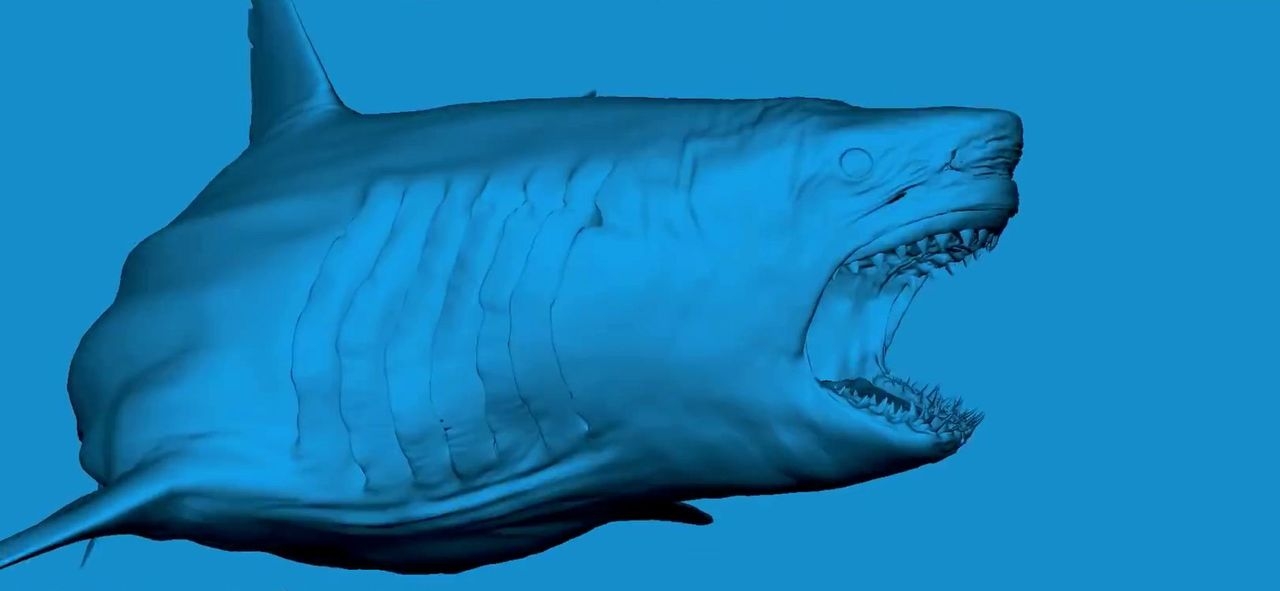 https://cgi.nyc3.cdn.digitaloceanspaces.com/artwork_medias/1731270011416-0-image.jpeg