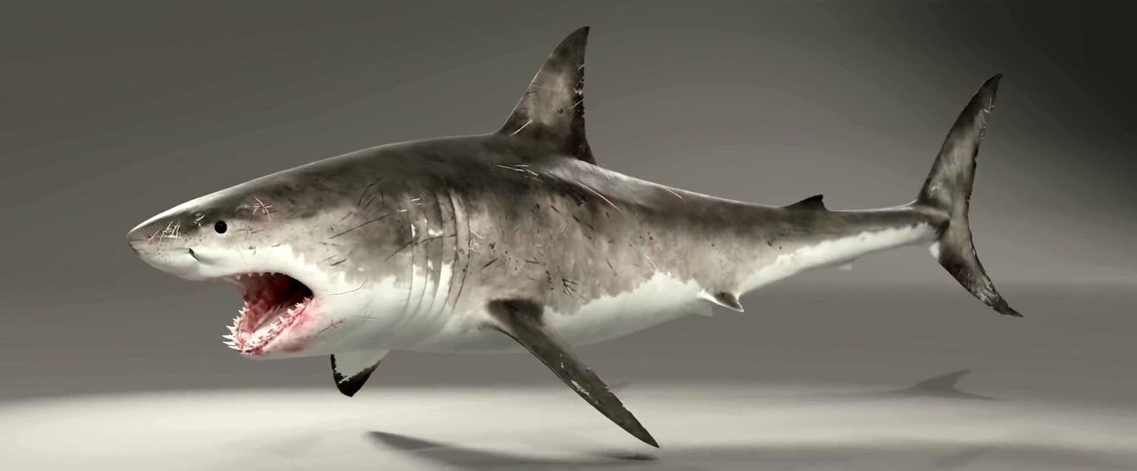 https://cgi.nyc3.cdn.digitaloceanspaces.com/artwork_medias/1731270012896-0-image.jpeg
