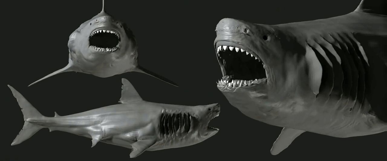 https://cgi.nyc3.cdn.digitaloceanspaces.com/artwork_medias/1731270013801-0-image.jpeg