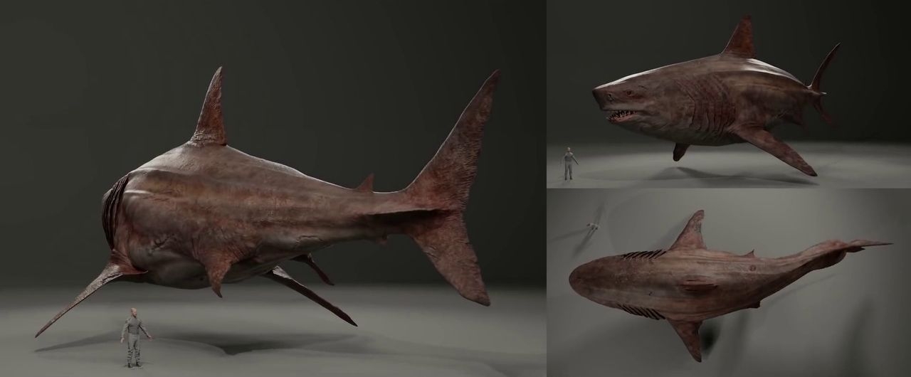 https://cgi.nyc3.cdn.digitaloceanspaces.com/artwork_medias/1731270014527-0-image.jpeg