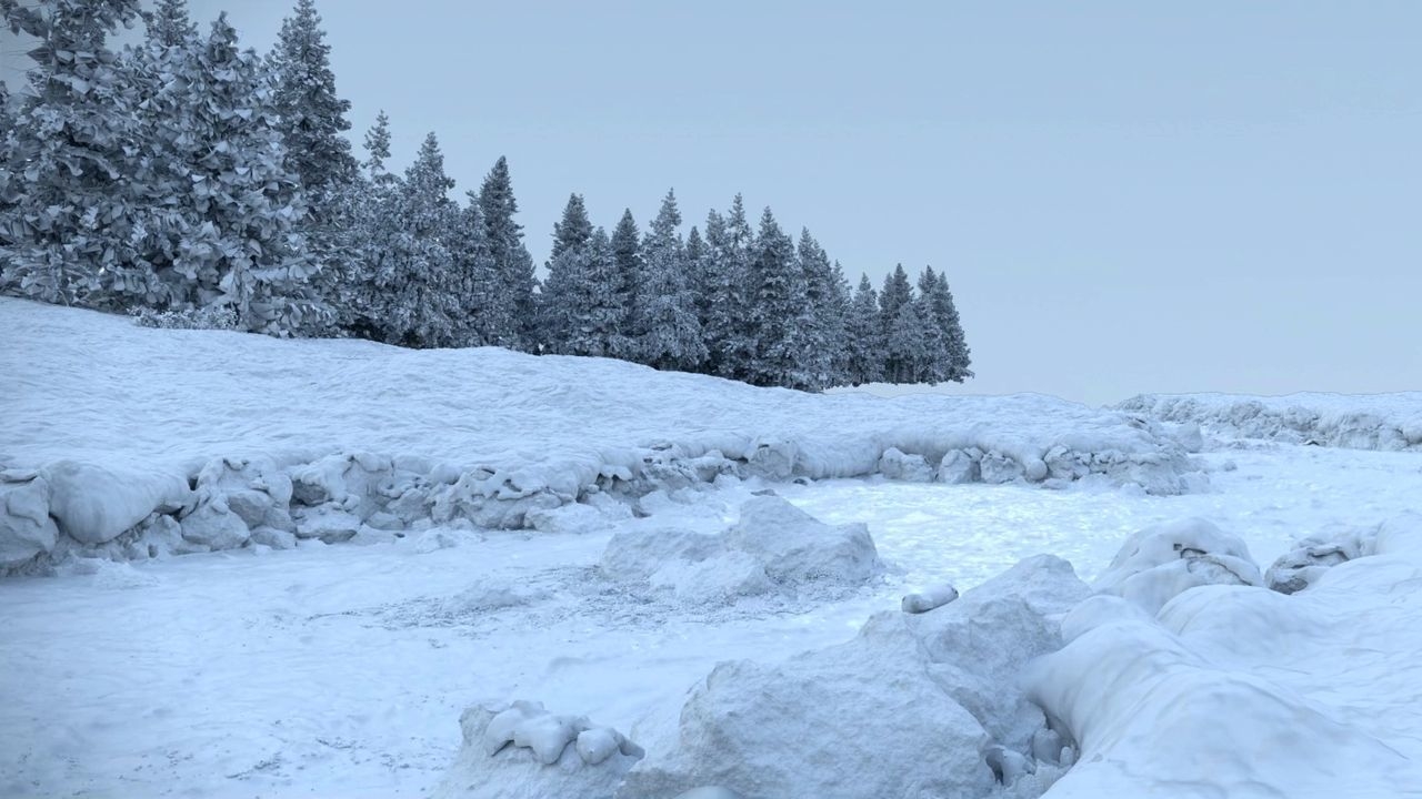 https://cgi.nyc3.cdn.digitaloceanspaces.com/artwork_medias/1731273675596-0-image.jpeg