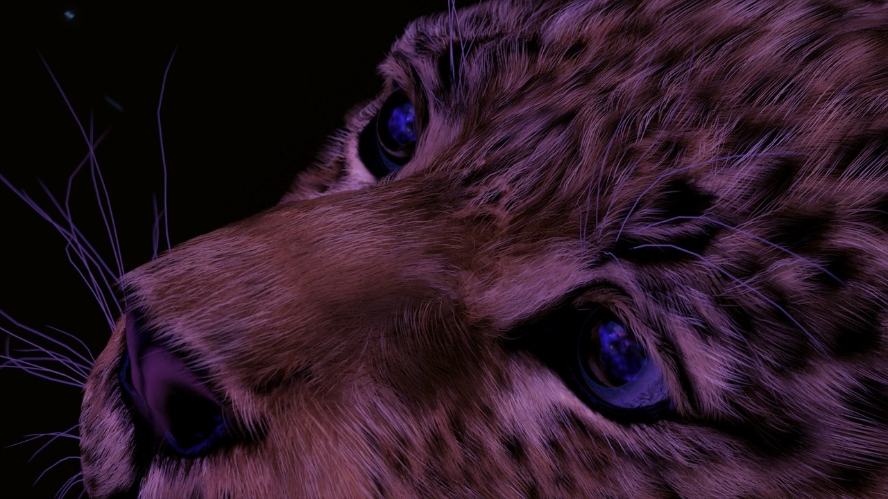 https://cgi.nyc3.cdn.digitaloceanspaces.com/artwork_medias/1731274726205-0-image.jpeg