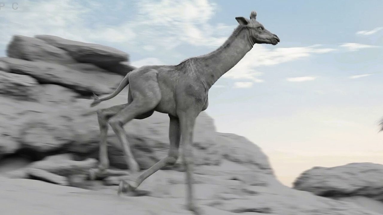 https://cgi.nyc3.cdn.digitaloceanspaces.com/artwork_medias/1731277102916-0-image.jpeg