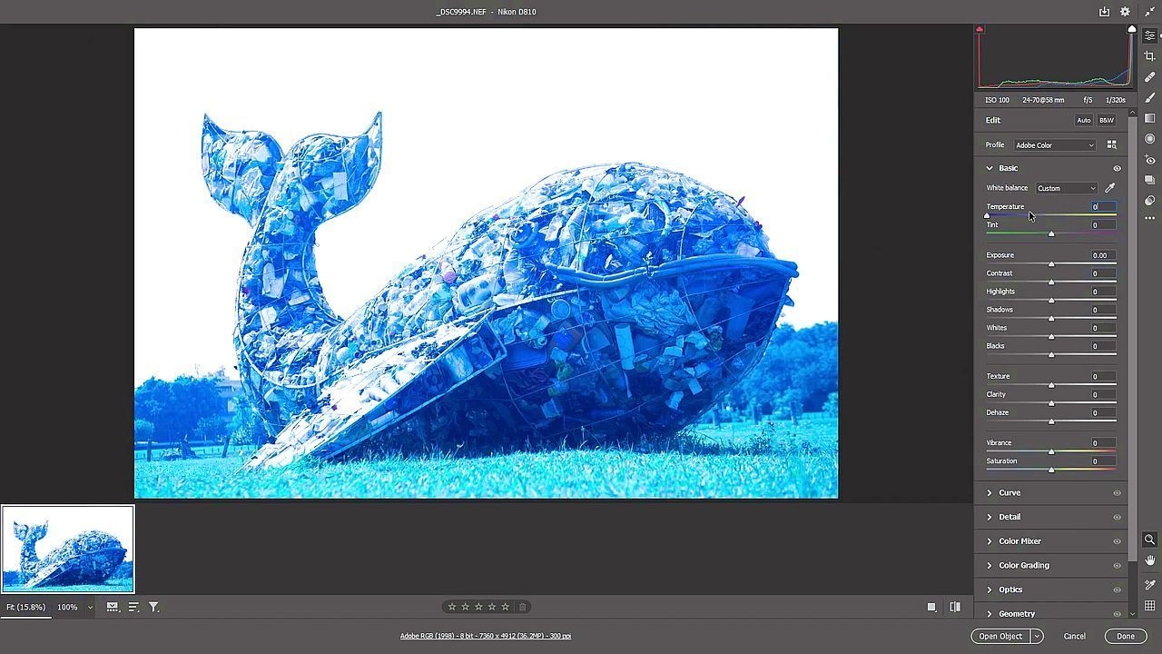 https://cgi.nyc3.cdn.digitaloceanspaces.com/artwork_medias/1731278451113-0-image.jpeg