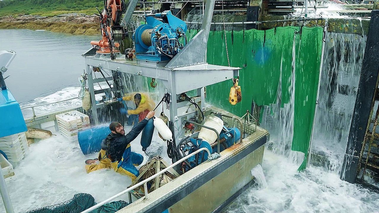 https://cgi.nyc3.cdn.digitaloceanspaces.com/artwork_medias/1731278890942-0-image.jpeg