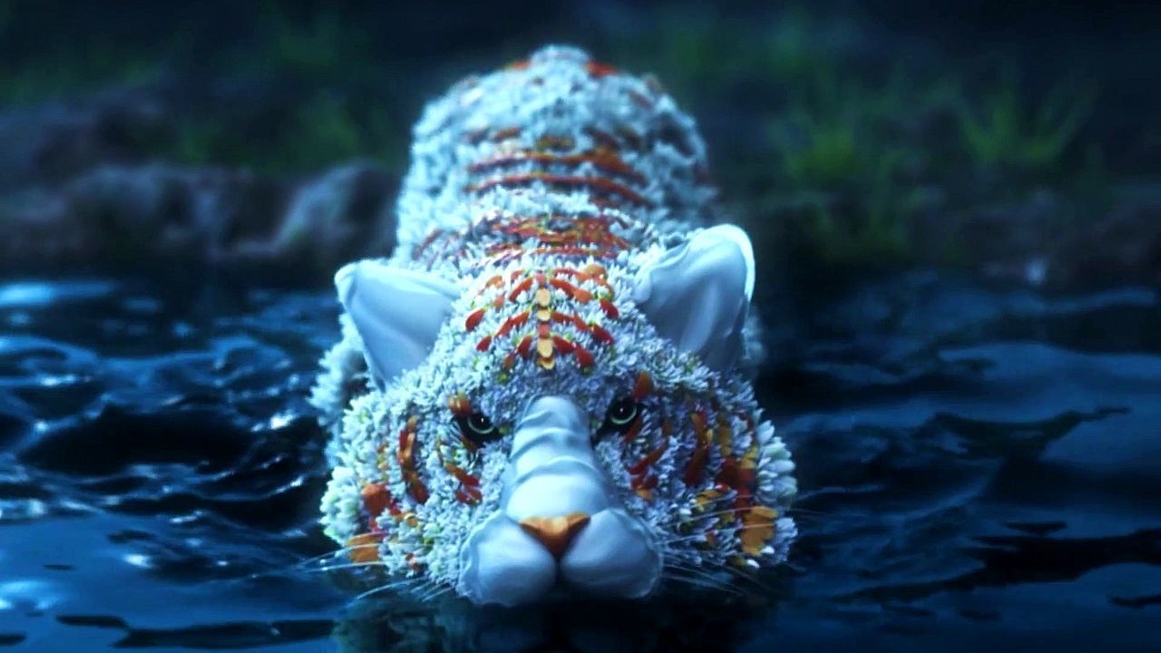 https://cgi.nyc3.cdn.digitaloceanspaces.com/artwork_medias/1731281314438-0-image.jpeg