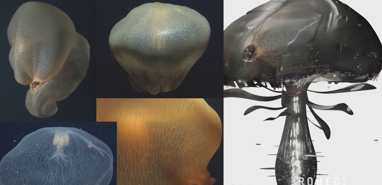 https://cgi.nyc3.cdn.digitaloceanspaces.com/artwork_medias/1731281528447-0-image.jpeg