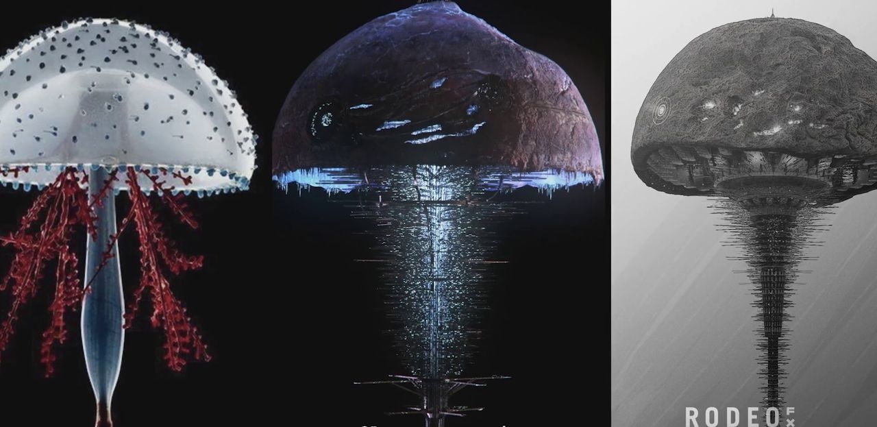 https://cgi.nyc3.cdn.digitaloceanspaces.com/artwork_medias/1731281529269-0-image.jpeg