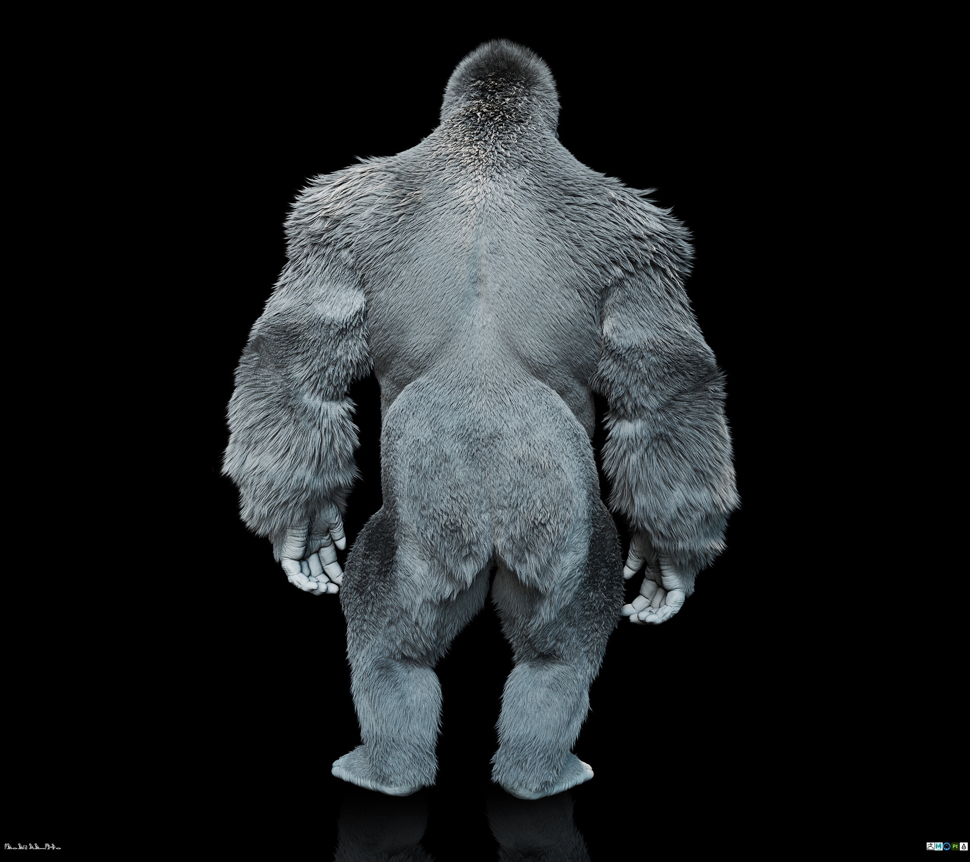 https://cgi.nyc3.cdn.digitaloceanspaces.com/artwork_medias/1741841772838-0-image.jpeg