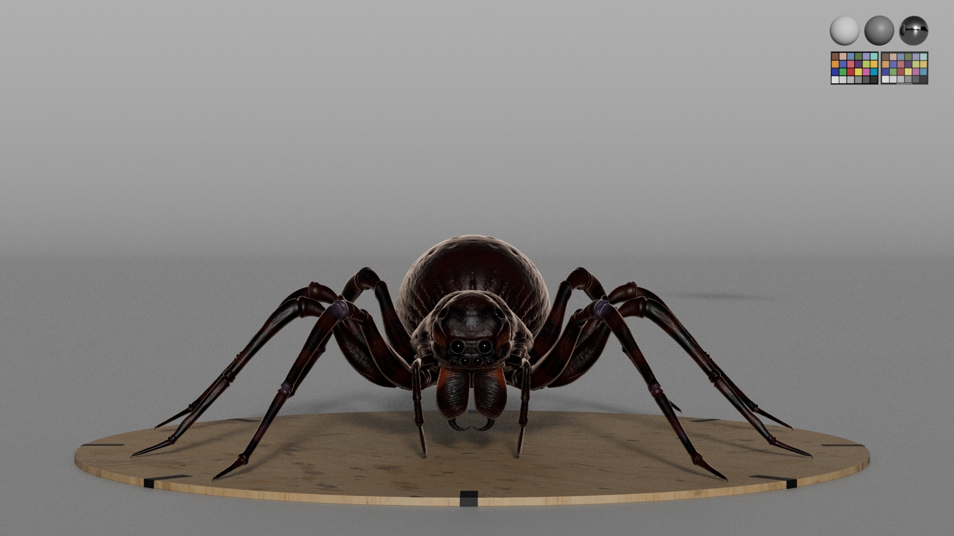 https://cgi.nyc3.cdn.digitaloceanspaces.com/artwork_medias/1742493867403-0-image.jpeg