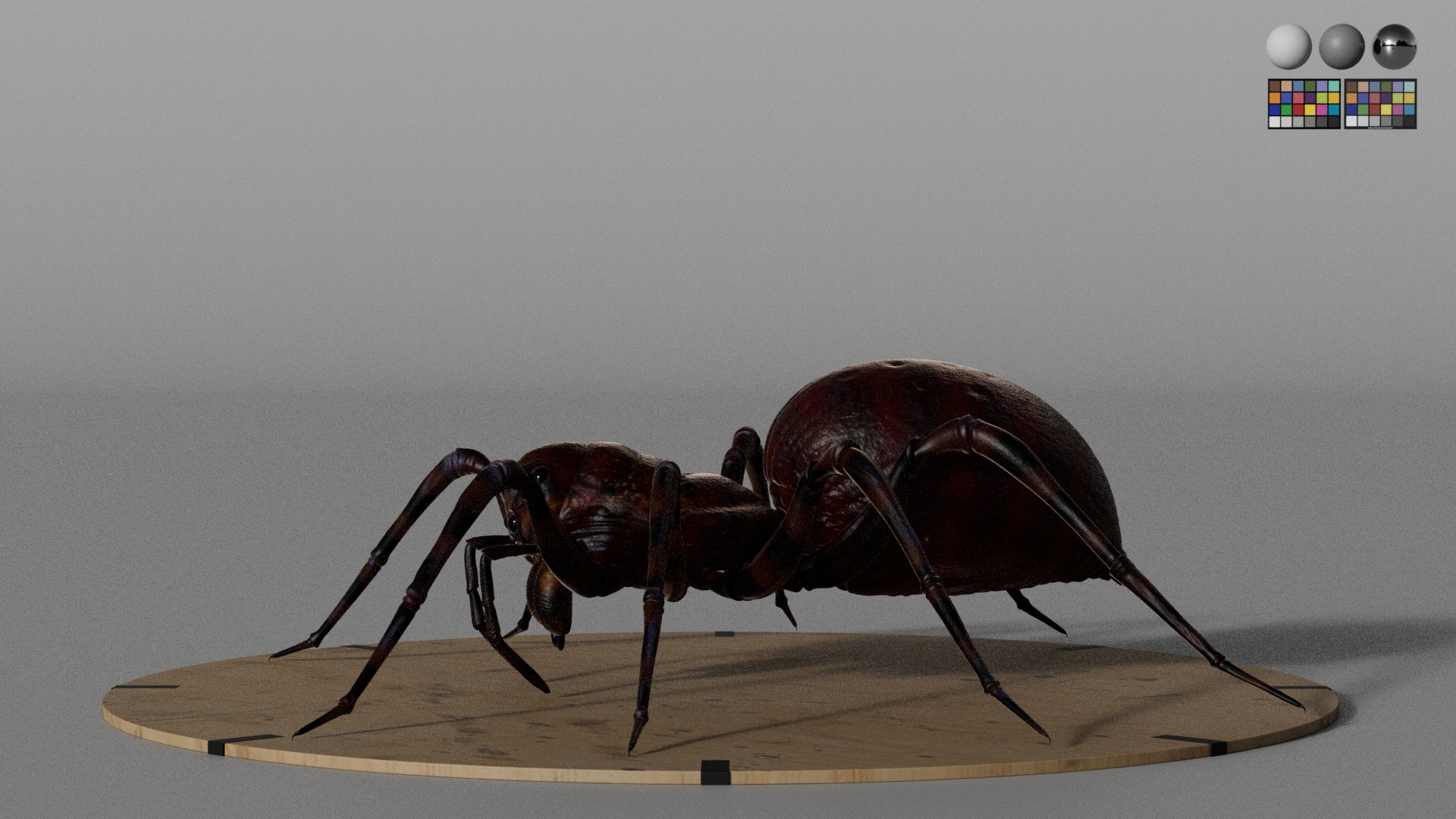 https://cgi.nyc3.cdn.digitaloceanspaces.com/artwork_medias/1742493868066-0-image.jpeg