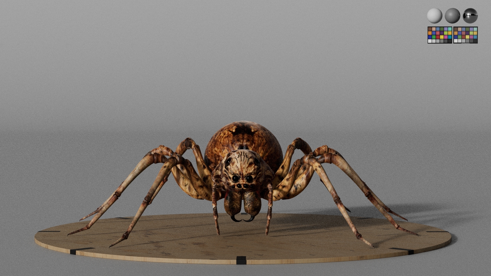 https://cgi.nyc3.cdn.digitaloceanspaces.com/artwork_medias/1742493868697-0-image.jpeg