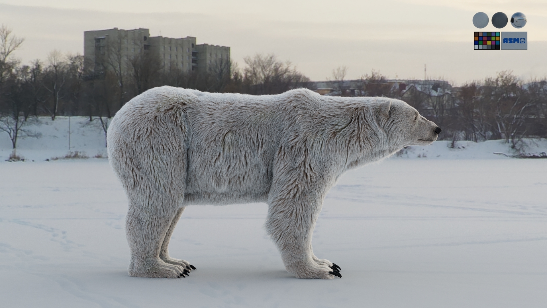 https://cgi.nyc3.cdn.digitaloceanspaces.com/artwork_medias/1782385372428-0-image.jpeg
