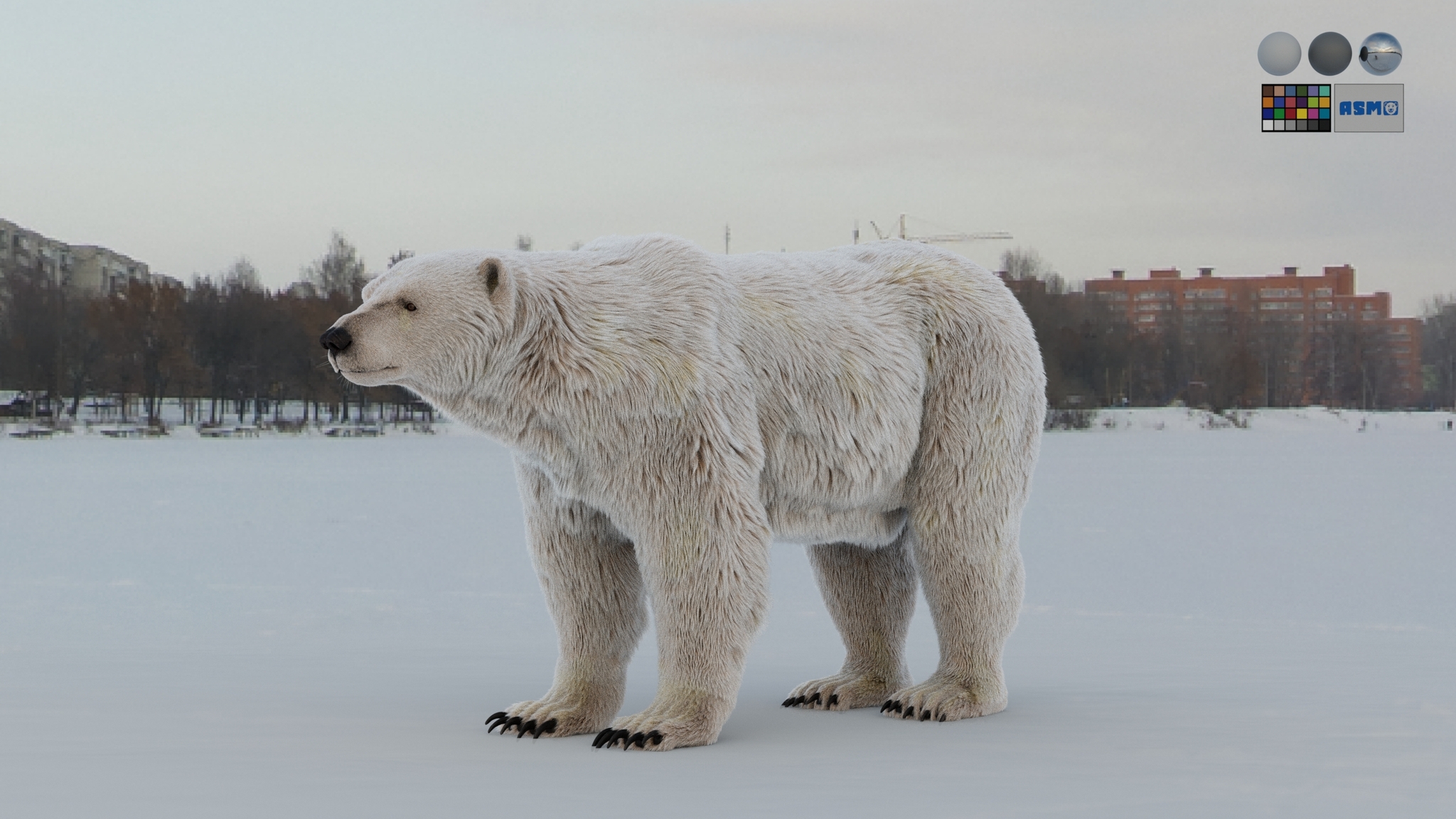 https://cgi.nyc3.cdn.digitaloceanspaces.com/artwork_medias/1782385372805-0-image.jpeg