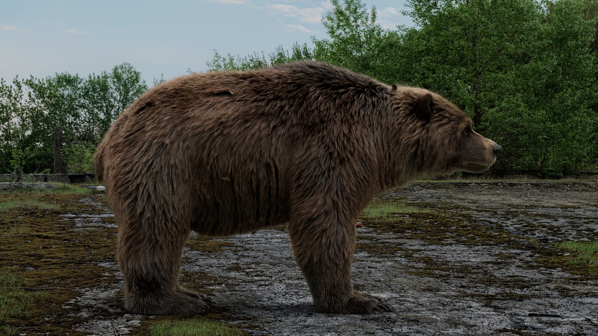 https://cgi.nyc3.cdn.digitaloceanspaces.com/artwork_medias/1783684403217-0-image.jpeg