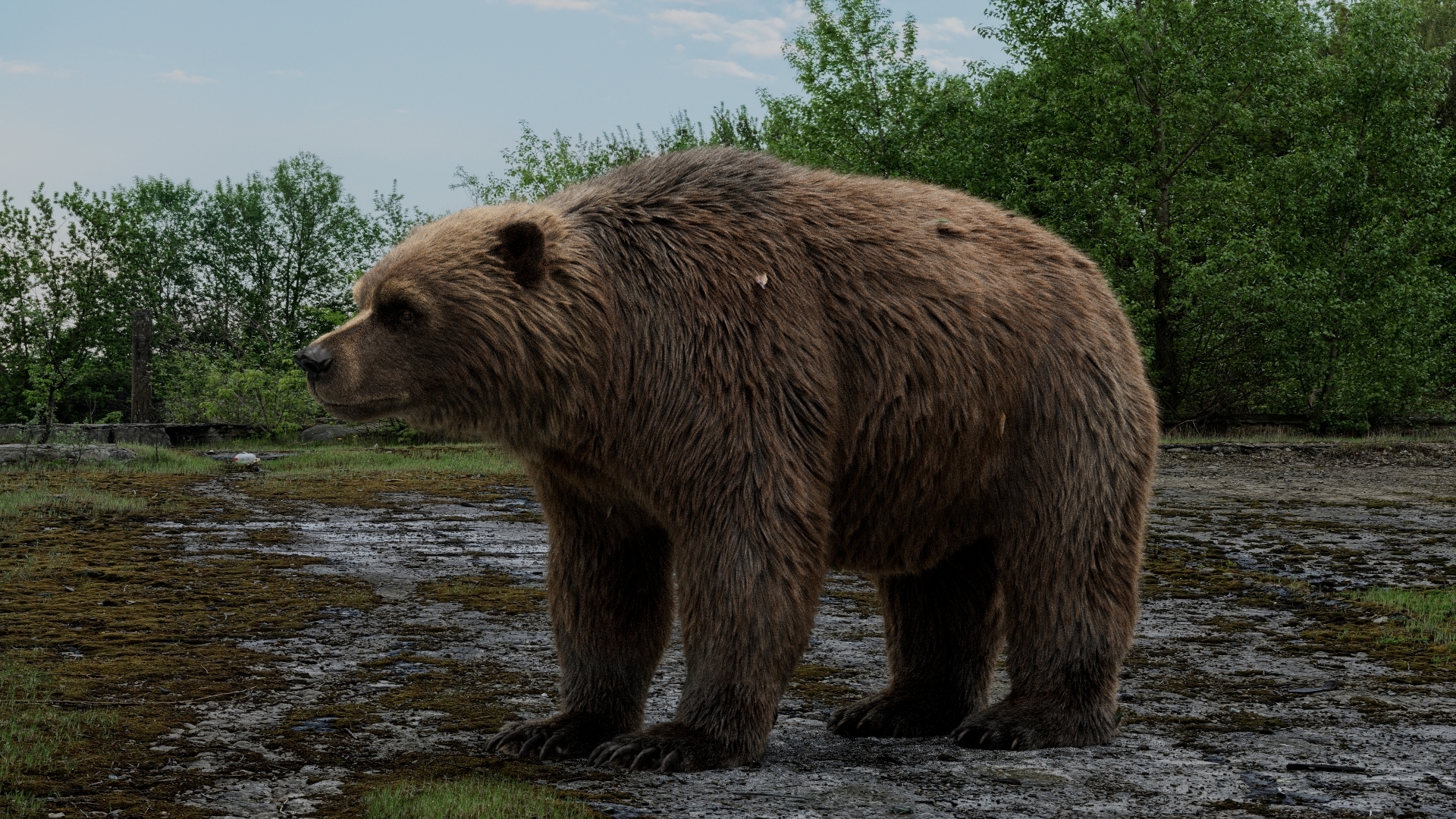 https://cgi.nyc3.cdn.digitaloceanspaces.com/artwork_medias/1783684403982-0-image.jpeg