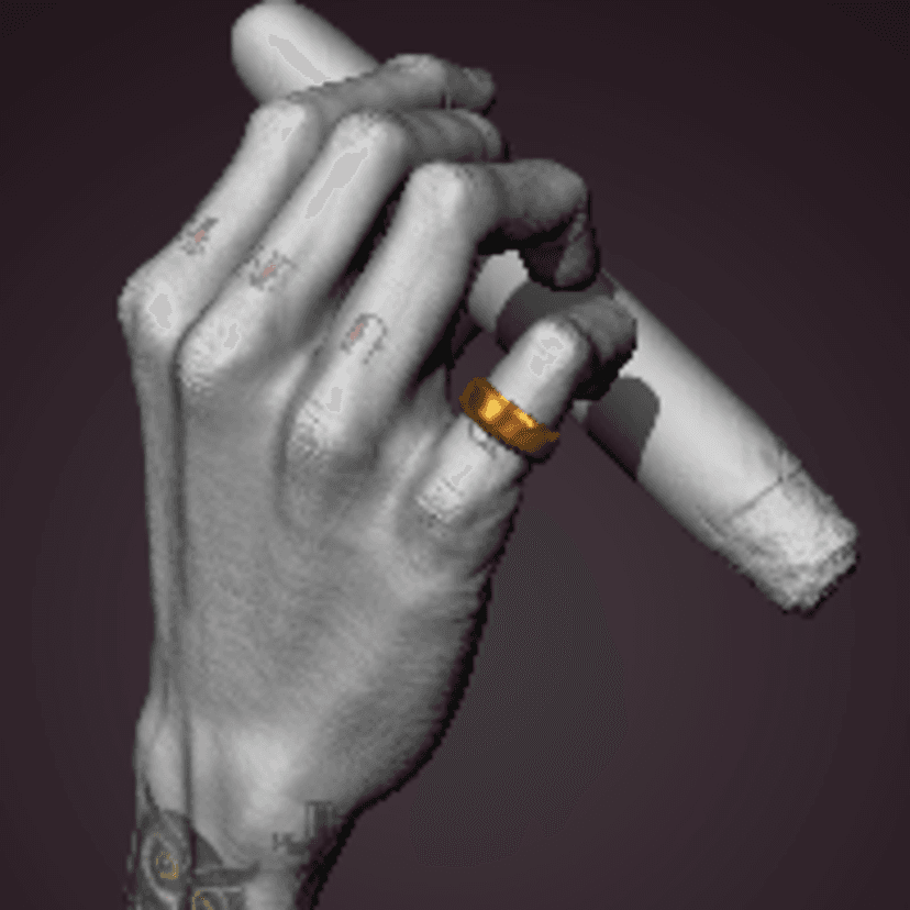 Hand anatomy ...