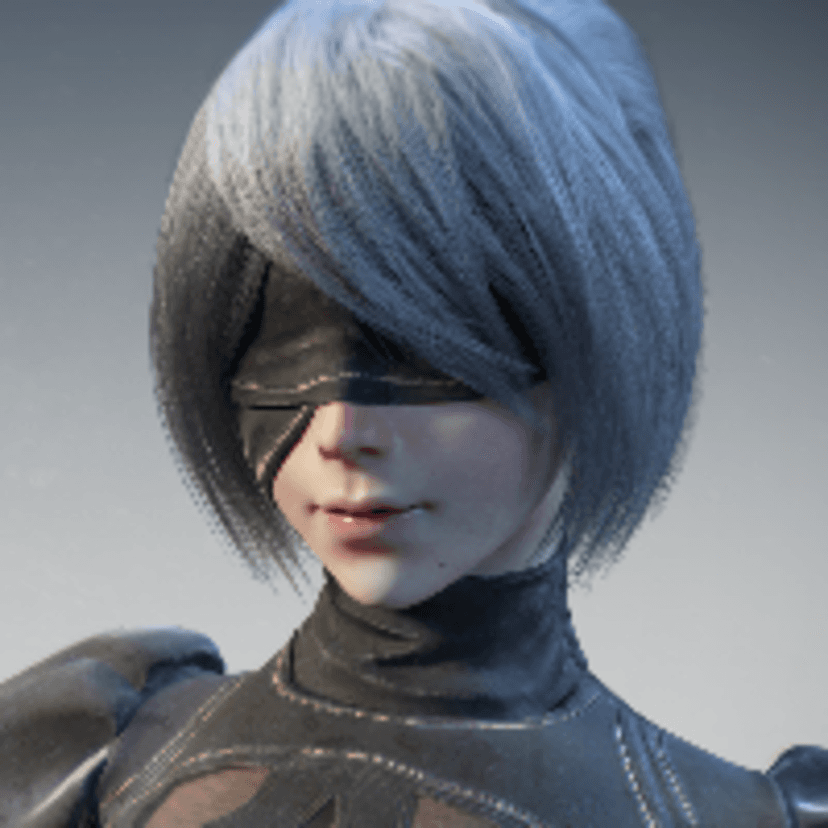 2B model prac...