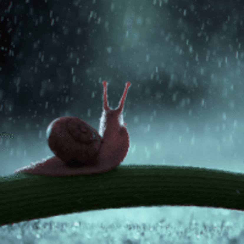 study-snails