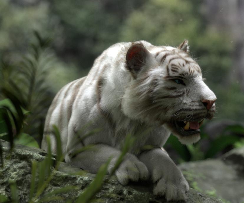 3D White Tige...