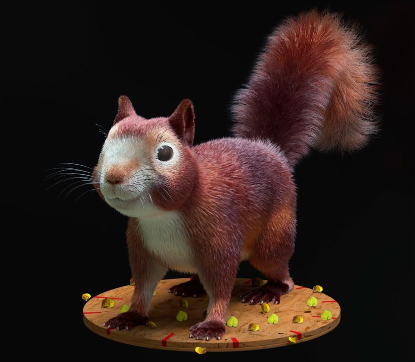 Squirrel