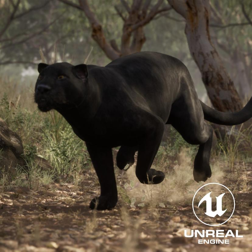 Black Panther...