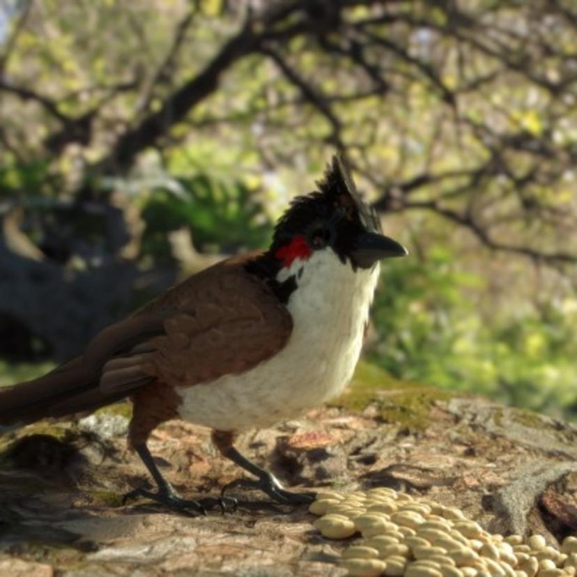 3D Bird - Red...