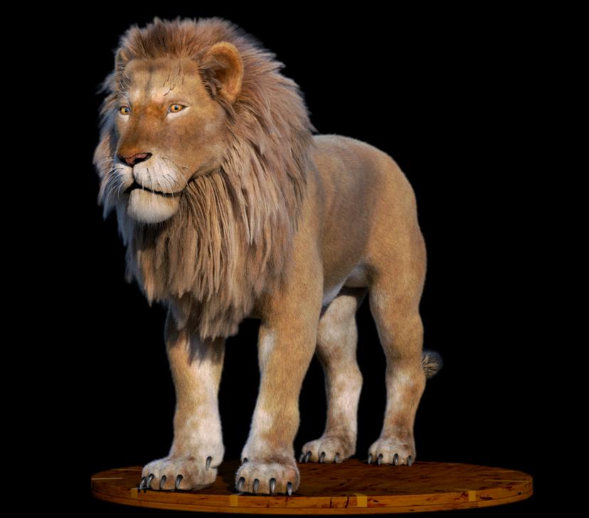 Lion