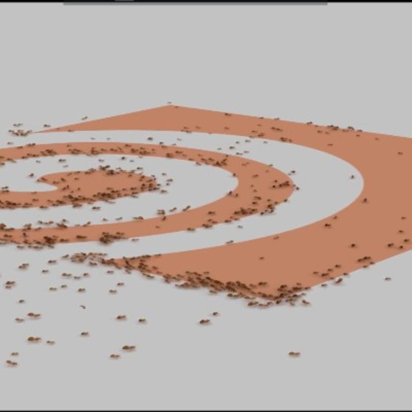 Ants in Houdi...