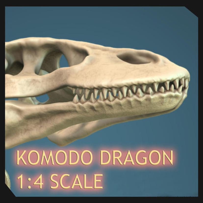 Komodo Dragon...