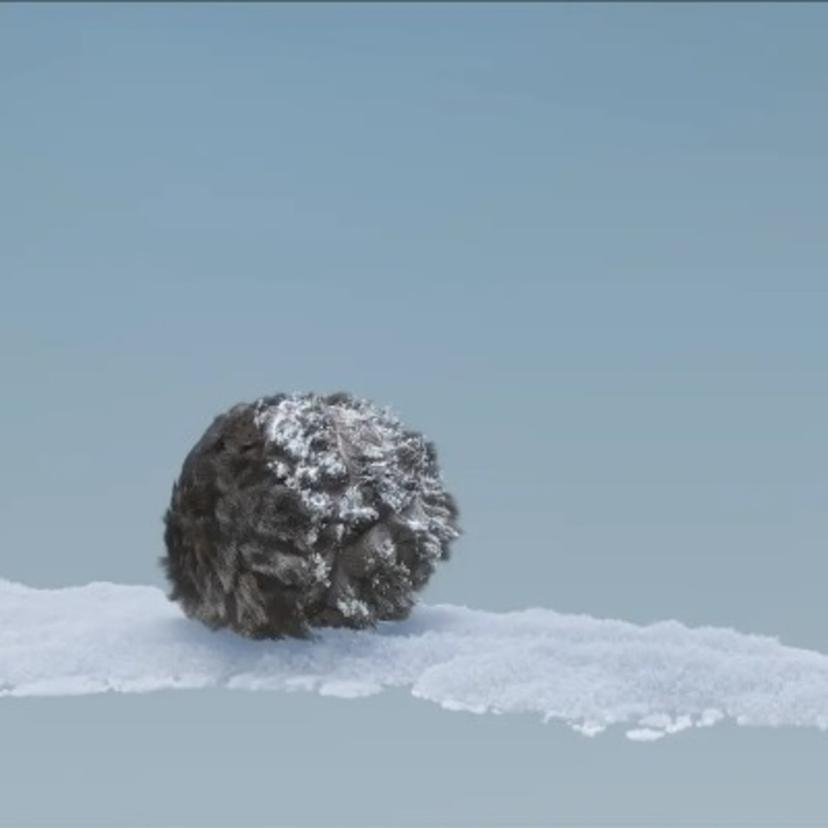 Fur and Snow
