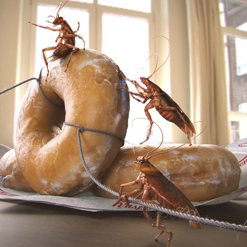 Roach Heist