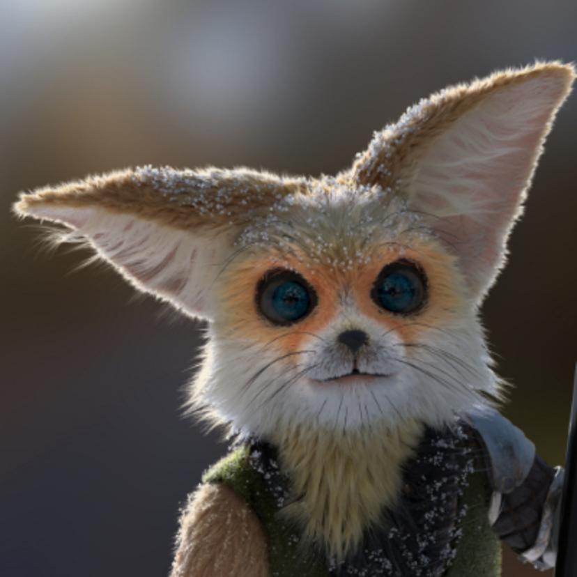 FennecFox
