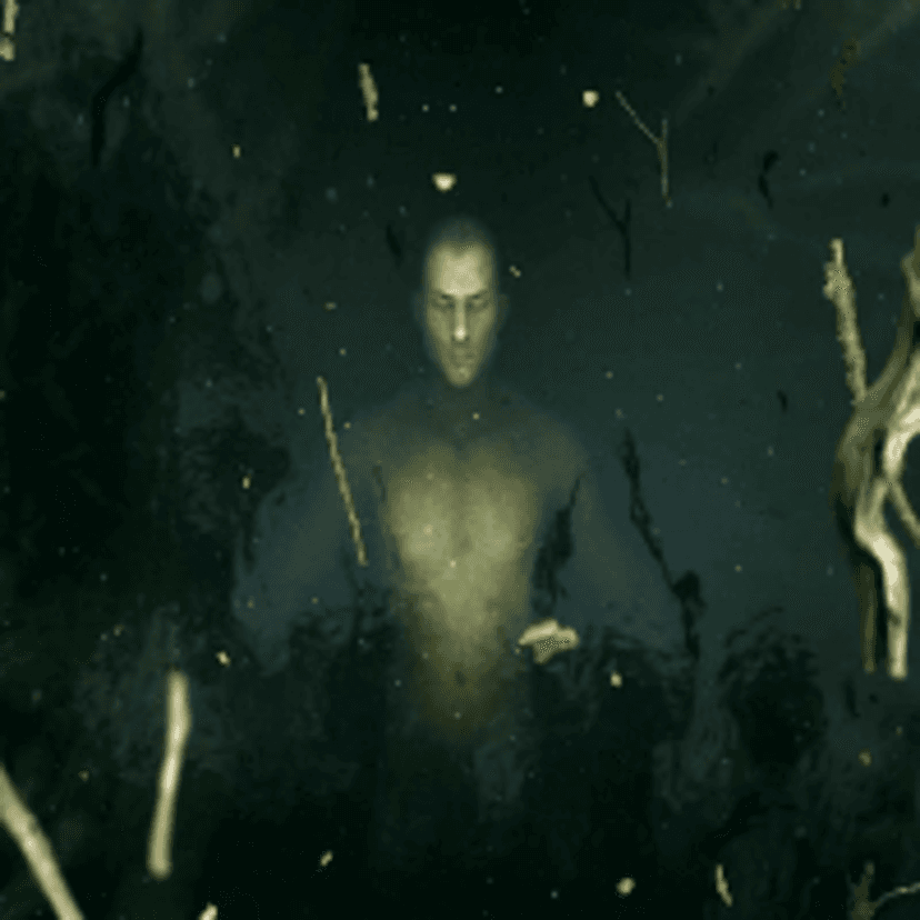 PROTEUS