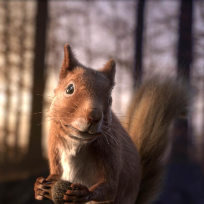 3D Squirrel