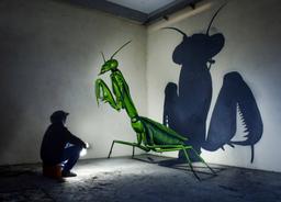 job-image