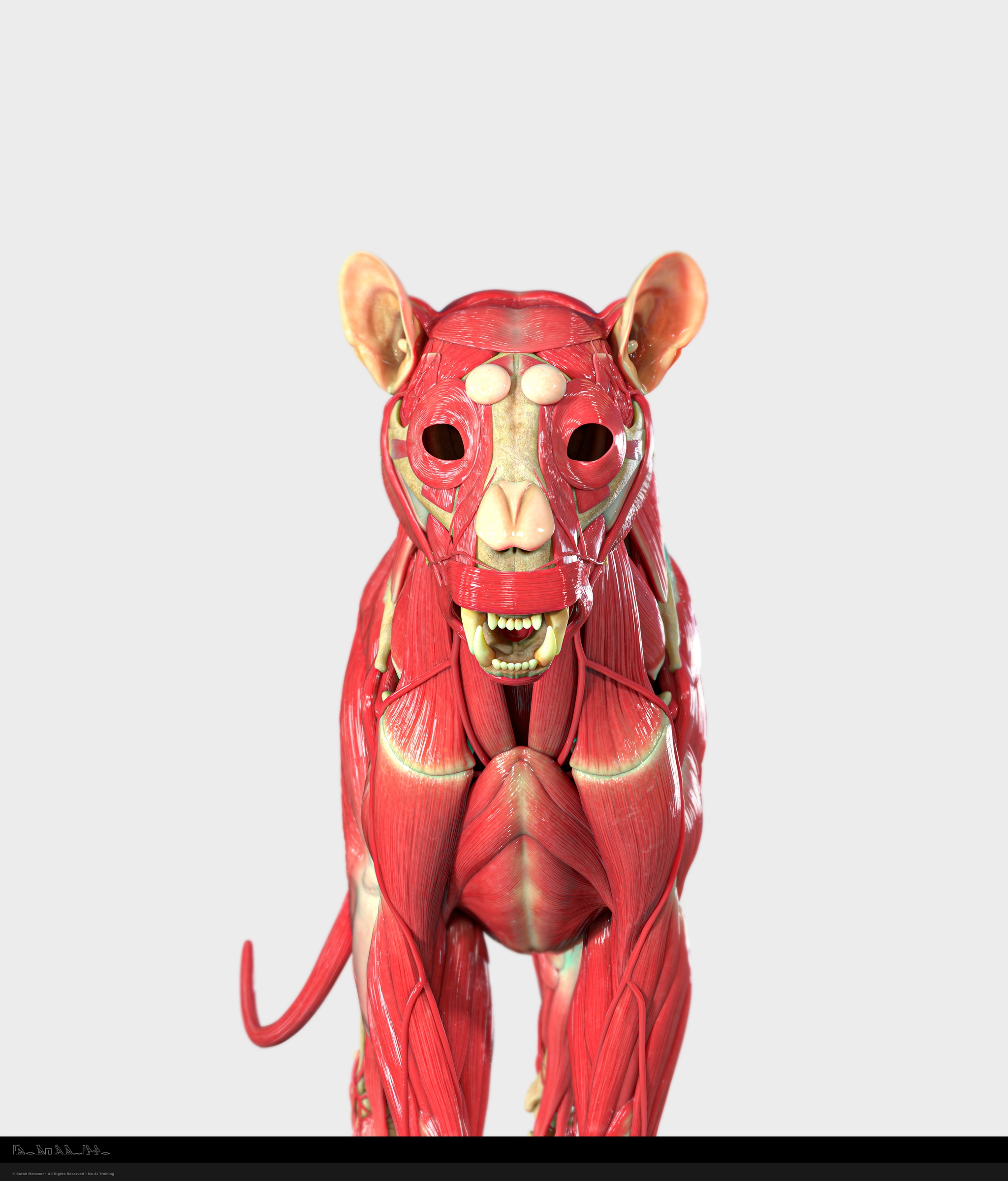 https://cgi.nyc3.cdn.digitaloceanspaces.com/artwork_medias/1786005527846-0-image.jpeg